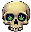skull