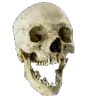 goofy_skull
