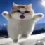 YIPPIE