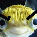 AngyFish
