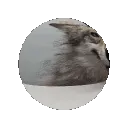 wolp_ball