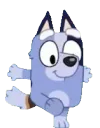 SocksDance