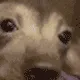 creatureSoConcerned