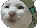 apohui_pust_ragu_nazivaet