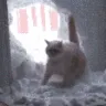 AMcatDepartDisappear