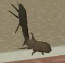 spin