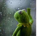 sad_frog sad_frog