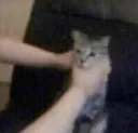 CatChoke