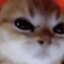 NO