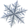 006f_snowflake