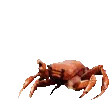 CrabPls