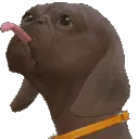 slurp