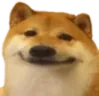 chiencontent