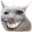 GatoEpicoSmile