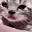 SadCat SadCat