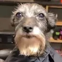 Bobby