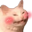 Cat_Blush