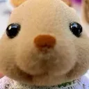 hellovro