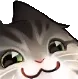 joi