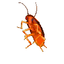 PartyDanceJumproach animated GIF emoji from Μ Λ Υ V Ι L L Ξ🌿