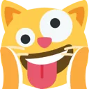crazycat