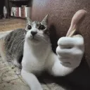 car_thumbsup