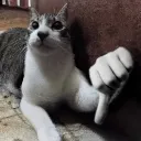 car_thumbsdown