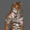 tigerwalk