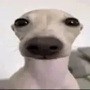 huh