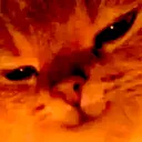 animal_evil