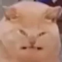 cattweak