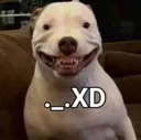 xd_dog