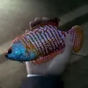 DeweyTheFish DeweyTheFish