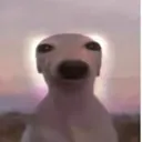 woof