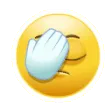 Facepalm