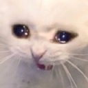 V_cry custom emote - Vulcan