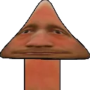WillVote