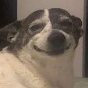 TobySmile