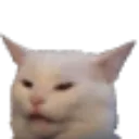 cat_huh