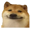 DoggoSmirk