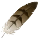 feather