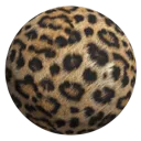 00nf2u_leopard