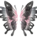 chaos_bblackpinkbutterflywings