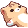 CAT_FLAT