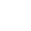 tylerskeletonkey