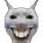 XX
