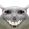 DD