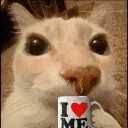 cattocoffe