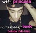noflashesbardoprincesa