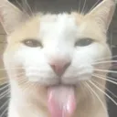 emoji_49
